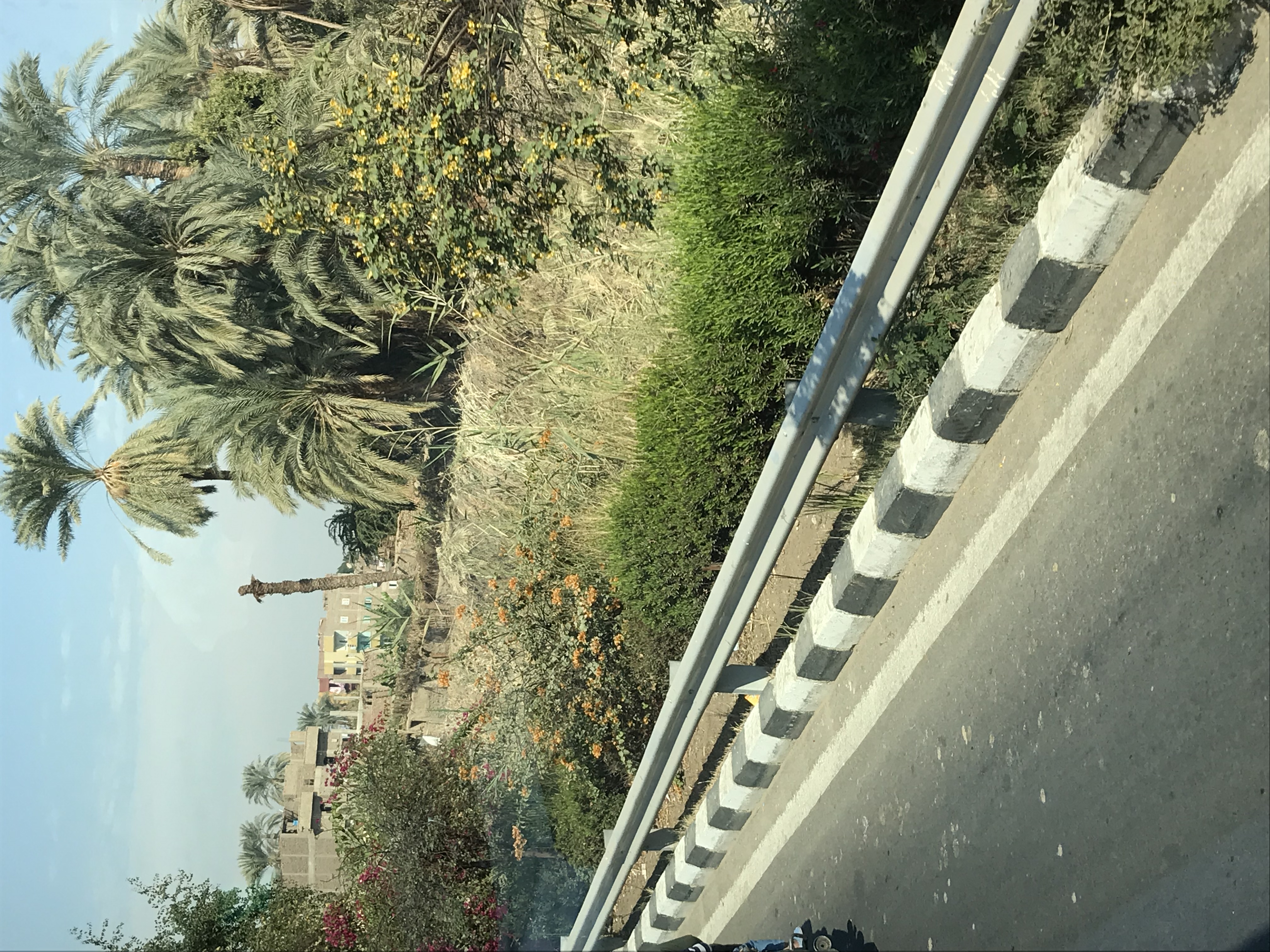 ./2018/16 - Egypt/04 - Luxor Day 1/IMG_1174.jpg